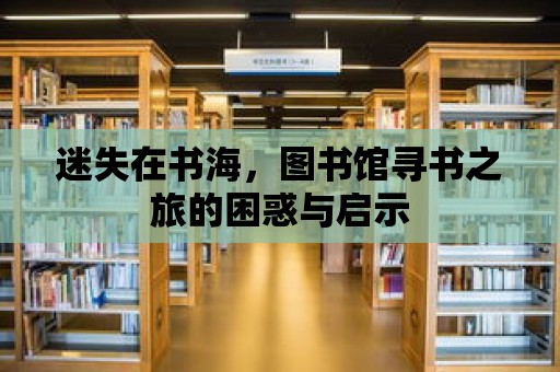 迷失在書海，圖書館尋書之旅的困惑與啟示