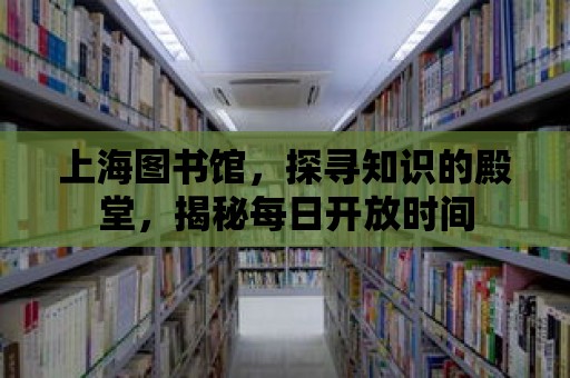 上海圖書館，探尋知識的殿堂，揭秘每日開放時間