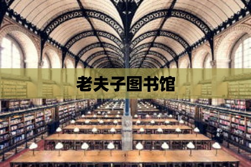 老夫子圖書館