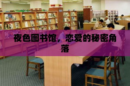 夜色圖書館，戀愛的秘密角落