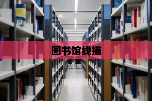 圖書館線描