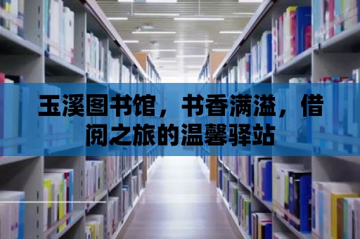 玉溪圖書館，書香滿溢，借閱之旅的溫馨驛站