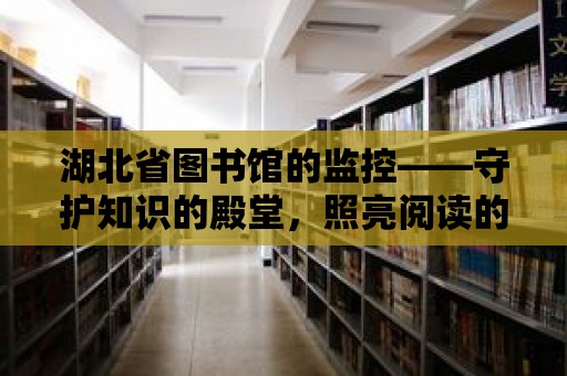 湖北省圖書館的監(jiān)控——守護(hù)知識的殿堂，照亮閱讀的夜晚