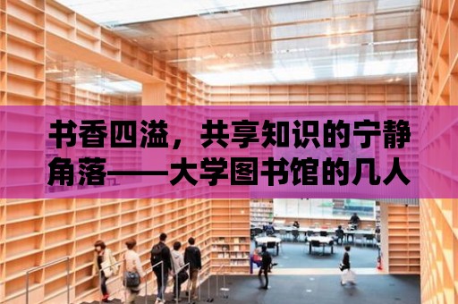 書香四溢，共享知識的寧靜角落——大學圖書館的幾人桌