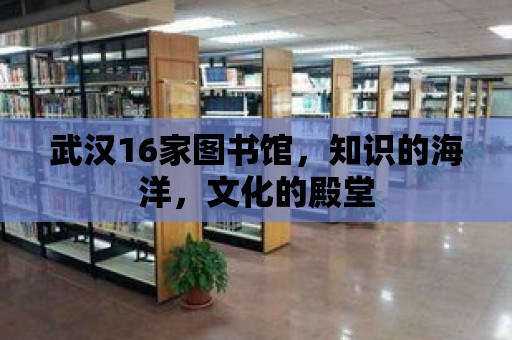 武漢16家圖書館，知識(shí)的海洋，文化的殿堂