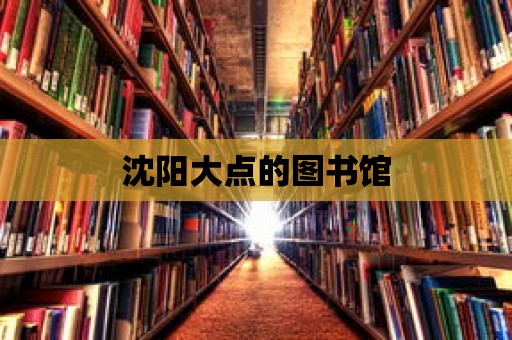 沈陽大點的圖書館