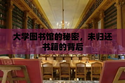 大學圖書館的秘密，未歸還書籍的背后