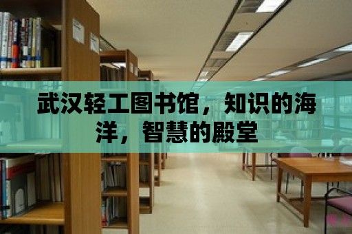 武漢輕工圖書館，知識的海洋，智慧的殿堂