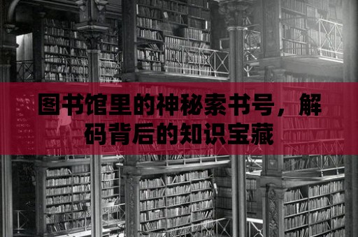 圖書館里的神秘索書號，解碼背后的知識寶藏