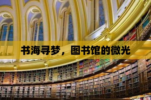 書海尋夢，圖書館的微光