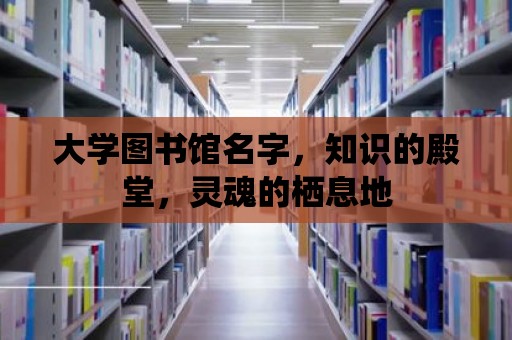 大學圖書館名字，知識的殿堂，靈魂的棲息地