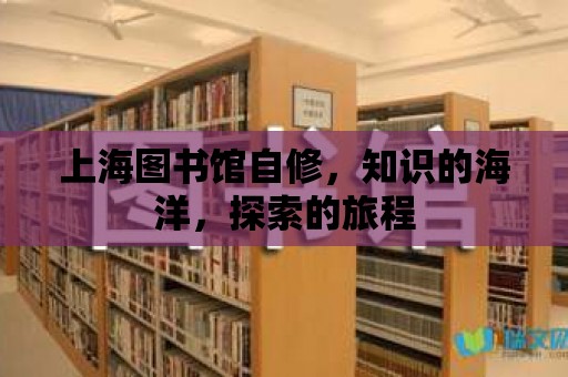 上海圖書館自修，知識的海洋，探索的旅程