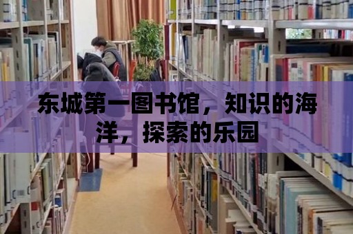 東城第一圖書館，知識的海洋，探索的樂園