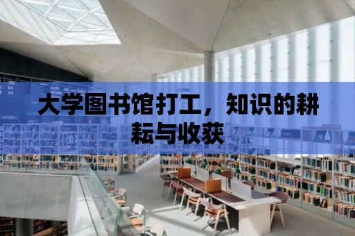 大學圖書館打工，知識的耕耘與收獲