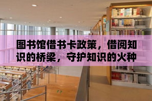 圖書館借書卡政策，借閱知識的橋梁，守護知識的火種