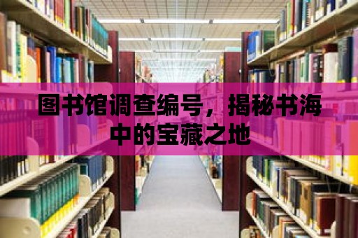 圖書館調查編號，揭秘書海中的寶藏之地