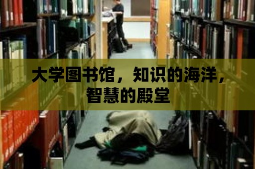 大學圖書館，知識的海洋，智慧的殿堂