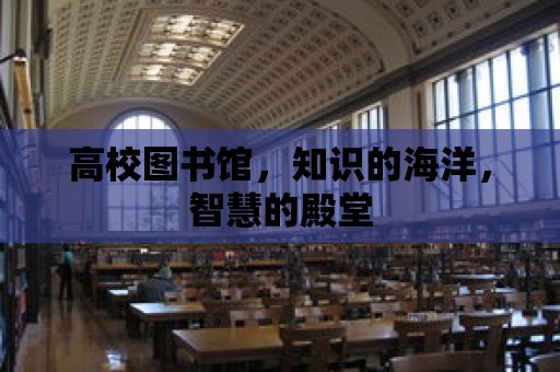 高校圖書館，知識的海洋，智慧的殿堂