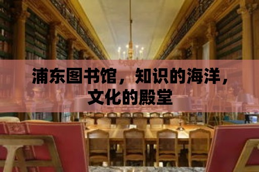 浦東圖書館，知識(shí)的海洋，文化的殿堂