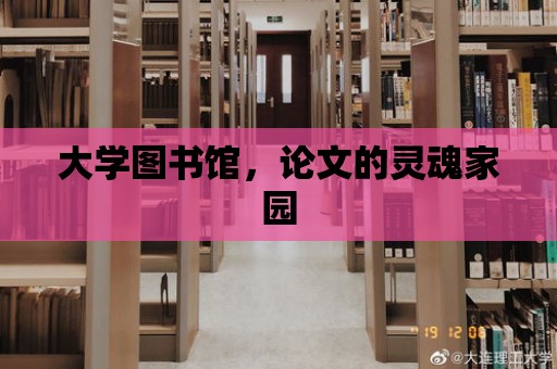 大學圖書館，論文的靈魂家園