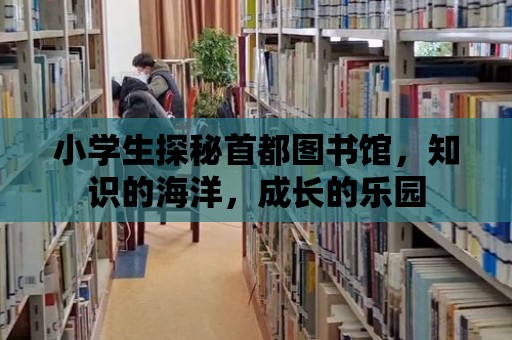 小學生探秘首都圖書館，知識的海洋，成長的樂園