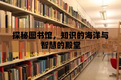 探秘圖書館，知識的海洋與智慧的殿堂