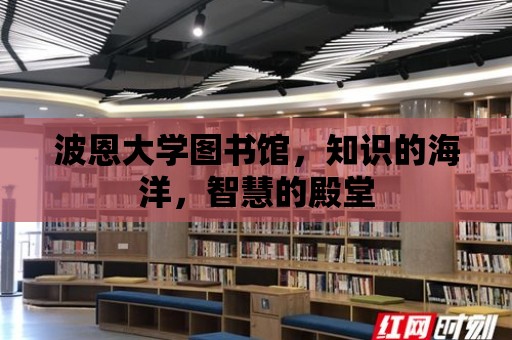 波恩大學圖書館，知識的海洋，智慧的殿堂