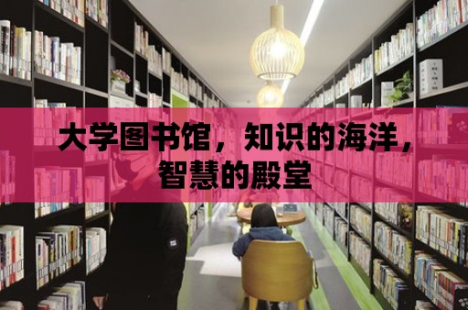 大學圖書館，知識的海洋，智慧的殿堂