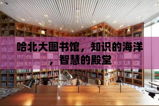 哈北大圖書館，知識(shí)的海洋，智慧的殿堂