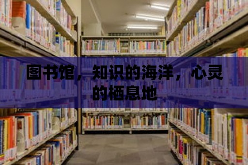 圖書館，知識的海洋，心靈的棲息地