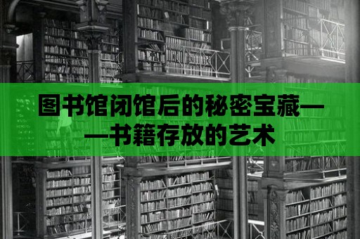 圖書館閉館后的秘密寶藏——書籍存放的藝術