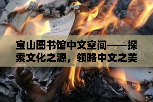 寶山圖書館中文空間——探索文化之源，領(lǐng)略中文之美