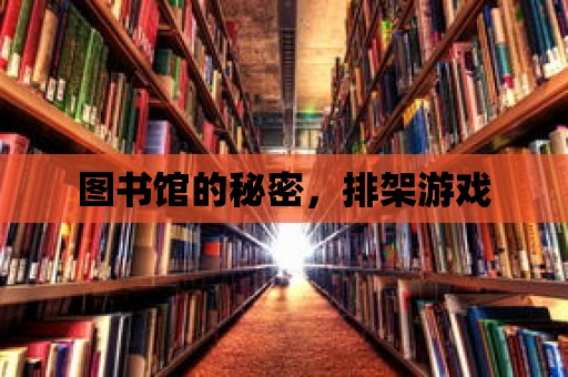 圖書館的秘密，排架游戲