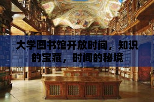 大學(xué)圖書館開放時(shí)間，知識的寶藏，時(shí)間的秘境