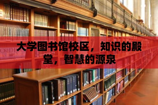 大學(xué)圖書館校區(qū)，知識(shí)的殿堂，智慧的源泉