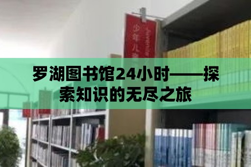 羅湖圖書館24小時(shí)——探索知識(shí)的無盡之旅