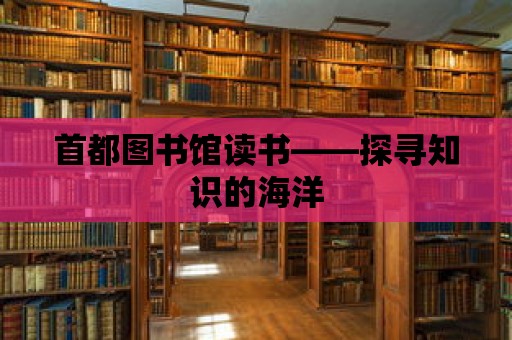 首都圖書館讀書——探尋知識的海洋