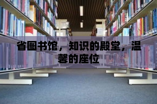 省圖書館，知識(shí)的殿堂，溫馨的座位