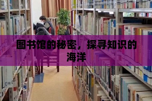 圖書館的秘密，探尋知識的海洋