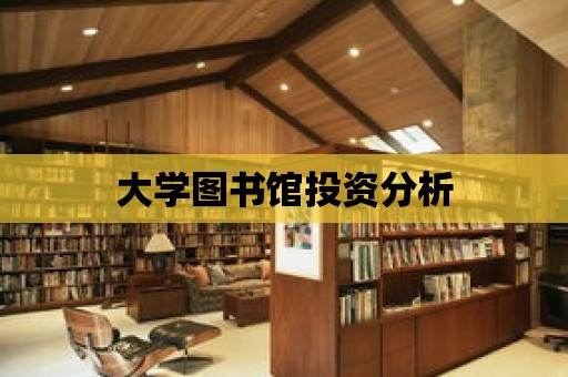 大學圖書館投資分析