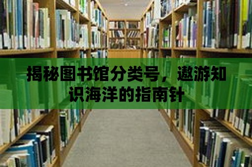 揭秘圖書館分類號，遨游知識海洋的指南針