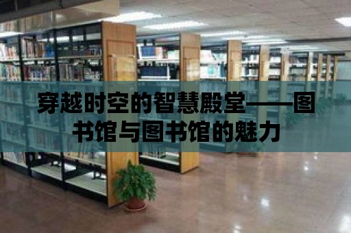 穿越時(shí)空的智慧殿堂——圖書館與圖書館的魅力