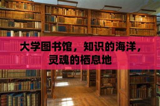 大學圖書館，知識的海洋，靈魂的棲息地