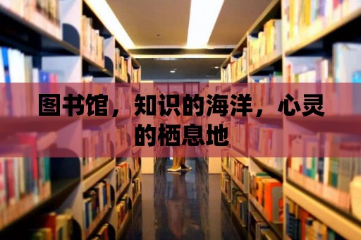 圖書館，知識的海洋，心靈的棲息地