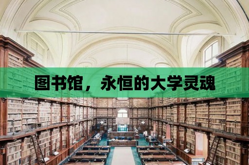 圖書館，永恒的大學(xué)靈魂