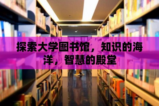 探索大學(xué)圖書(shū)館，知識(shí)的海洋，智慧的殿堂