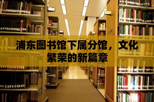 浦東圖書館下屬分館，文化繁榮的新篇章