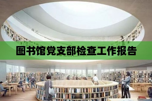 圖書館黨支部檢查工作報(bào)告