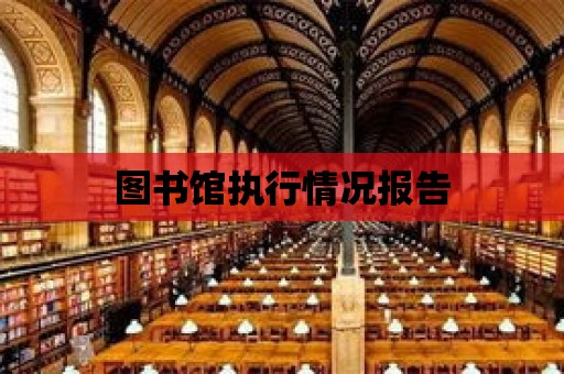 圖書館執(zhí)行情況報告