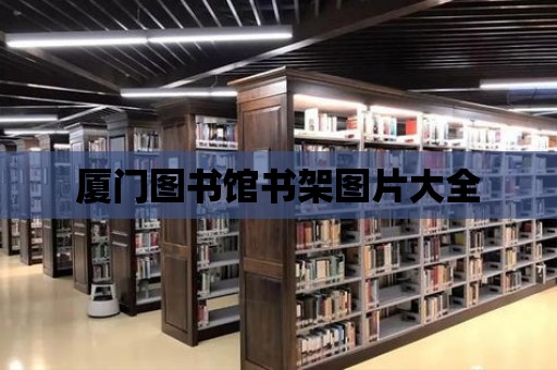 廈門圖書館書架圖片大全